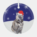 Search for tortoiseshell cat christmas tree decorations Pet