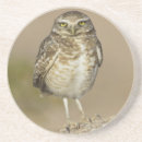 Search for birder coasters Nature