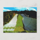 Search for vintage ski postcards Austria