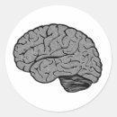 Search for neuron stickers Brain