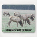 Search for bulls mousepads Nature