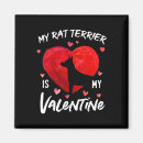 Search for rat magnets Pink
