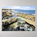 Search for maui beaches posters Hawaii
