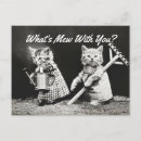 Search for what is postcards Vintage