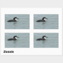 Search for birdwatchers stickers Photography