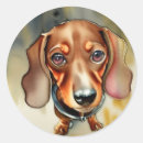 Search for cute dachshund stickers Brown