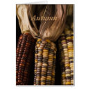Search for corn Thanksgiving