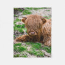 Search for calf blankets Animal