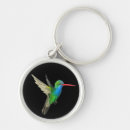 Search for hummingbird key rings Illustration