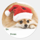 Search for pomeranian art stickers Cute