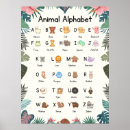 Search for classroom alphabet chart Homeschool