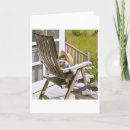 Search for rolling chair postcards Photography