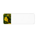 Search for calla lily return address labels Flowers