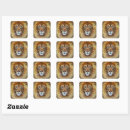 Search for lion art stickers Nature