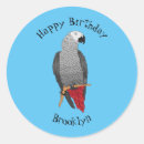 Search for cartoon parrot stickers Bird