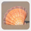 Search for scallop shell stickers Ocean