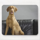 Search for sofa mousepads Studio shot