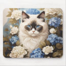 Search for ragdoll electronics Kitty