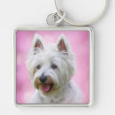 Search for yorkies square key rings Pets