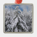Search for wintry christmas tree decorations Snow
