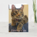 Search for adopted cat cards Shelter