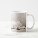 Search for yellow labrador mugs Pet