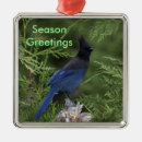 Search for blue jay christmas tree decorations Wildlife