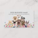 Search for hotel business cards Dog