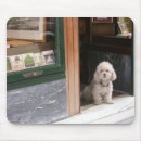 Search for toy dog mousepads Funny