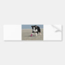 Search for toy bumper stickers Pet