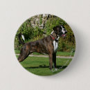 Search for brindle badges Boxer