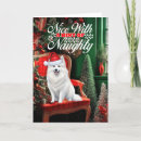 Search for american eskimo christmas cards Pets