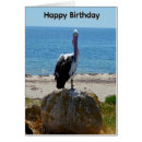 Search for beak cards Pelican
