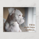 Search for dog waiting postcards Canine