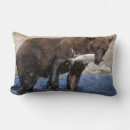 Search for salmon cushions Animal