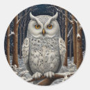 Search for vintage owl stickers Nature
