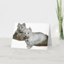 Search for lucy cards Dog