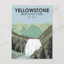 Search for gibbon postcards Yellowstone national park