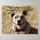 Search for bad photography Dog