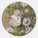 Search for purple hibiscus flower stickers Garden