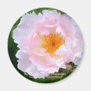 Search for blossom round magnets Flower
