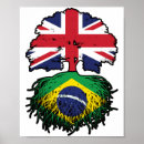 Search for flag of brazil posters Brazilian
