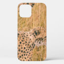 Search for on the eye cases Leopard