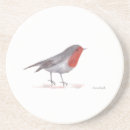 Search for robin coasters Watercolor