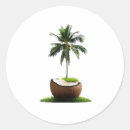 Search for fruit tree stickers Coconut