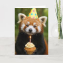Search for red panda birthday cards Cute