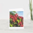 Search for island christmas cards Flowers