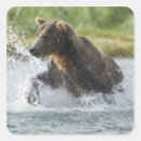 Search for salmon river stickers Fishing