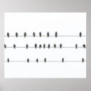 Search for birds wire birds wire art Minimalist