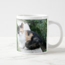 Search for phantom mugs Opera